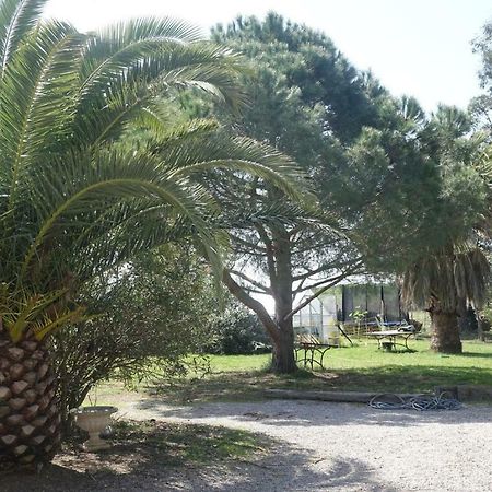 Mas Du Roc Villa Saint-Nazaire  Kültér fotó