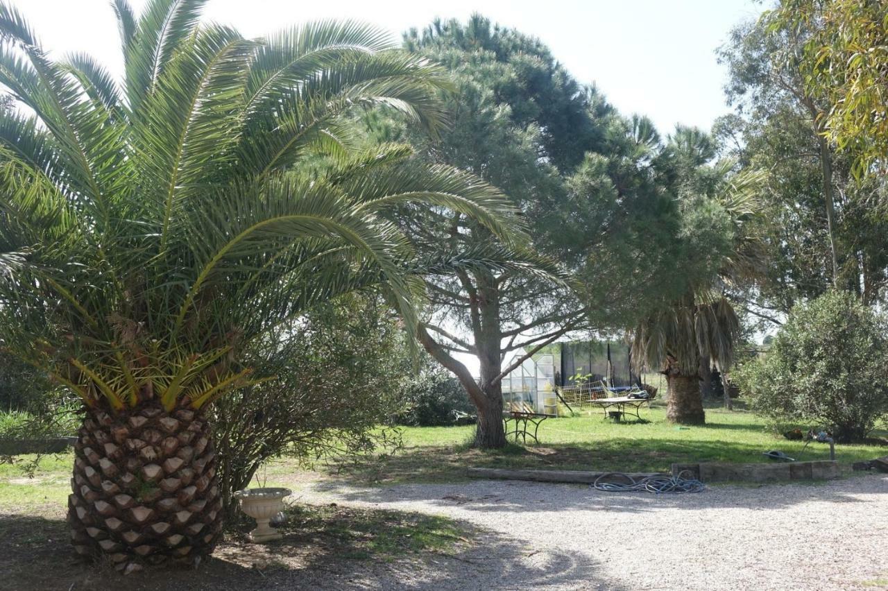 Mas Du Roc Villa Saint-Nazaire  Kültér fotó